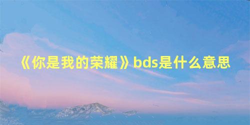 《你是我的荣耀》bds是什么意思