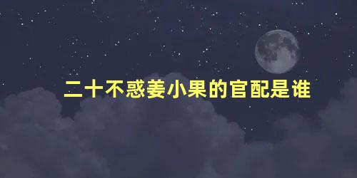 二十不惑姜小果的官配是谁