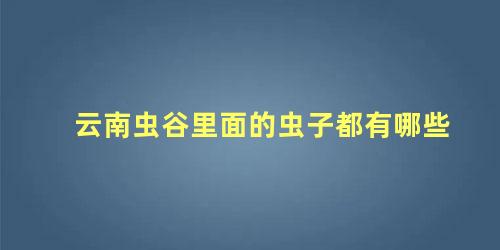 云南虫谷里面的虫子都有哪些