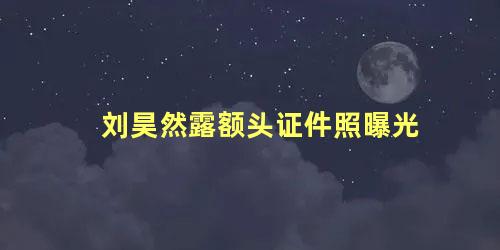 刘昊然露额头证件照曝光