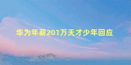 华为年薪201万天才少年回应