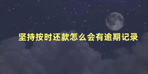 坚持按时还款怎么会有逾期记录