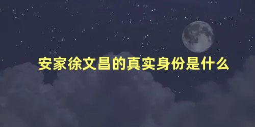 安家徐文昌的真实身份是什么