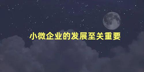 小微企业的发展至关重要