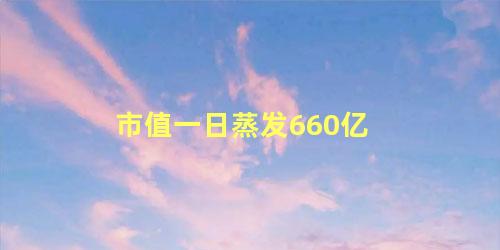 市值一日蒸发660亿