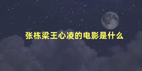 张栋梁王心凌的电影是什么