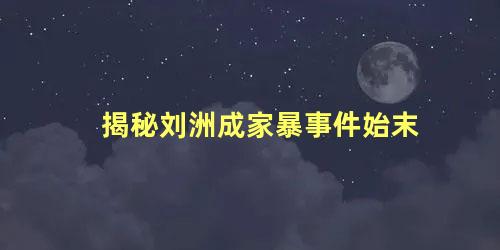 揭秘刘洲成家暴事件始末