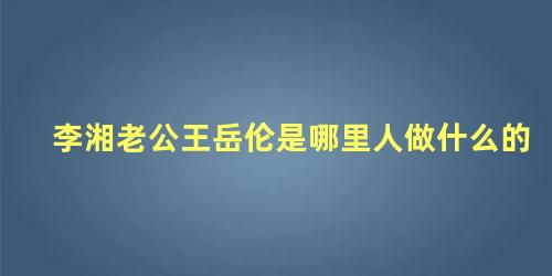 李湘老公王岳伦是哪里人做什么的