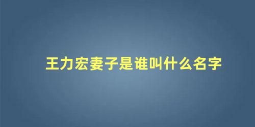 王力宏妻子是谁叫什么名字