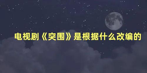 电视剧《突围》是根据什么改编的