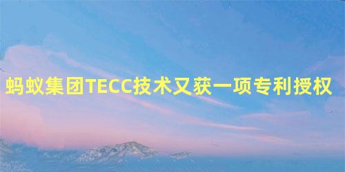 蚂蚁集团TECC技术又获一项专利授权