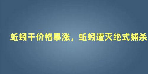 蚯蚓干价格暴涨，蚯蚓遭灭绝式捕杀