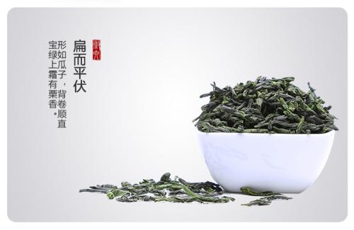 六安瓜片是什么茶