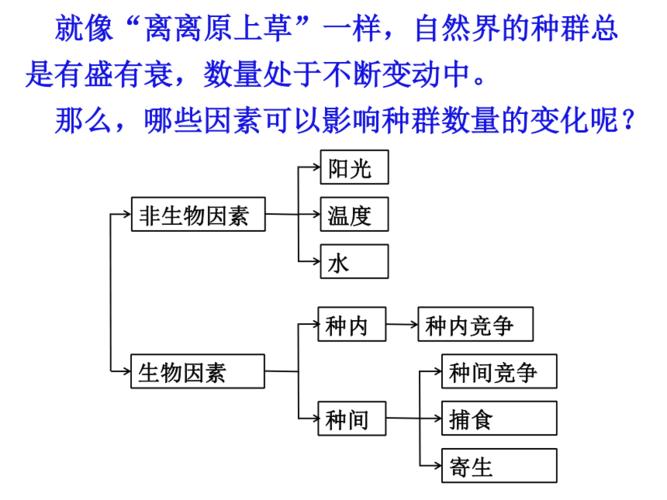 种群出生率下降表示什么