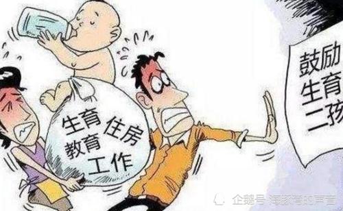 二胎的出生率下降是什么意思