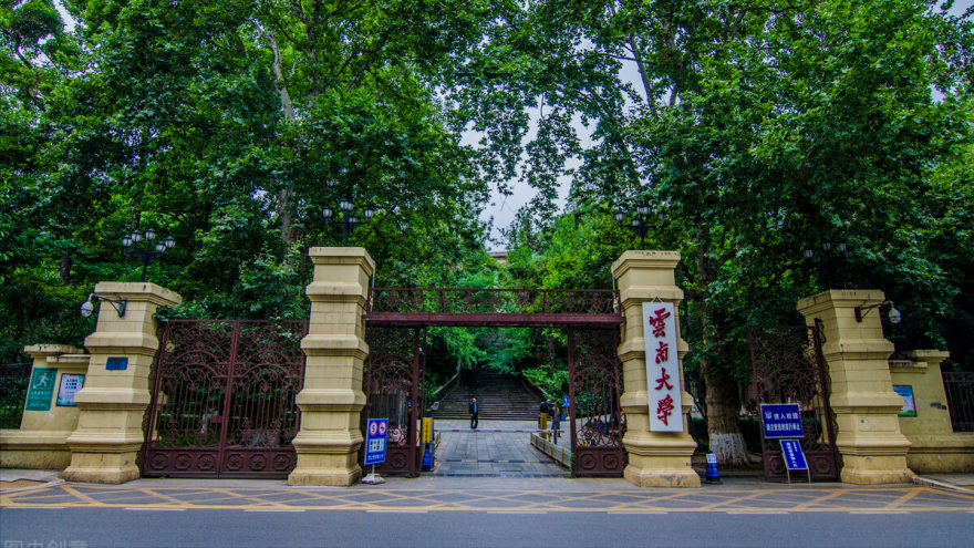 985和211大学是什么意思