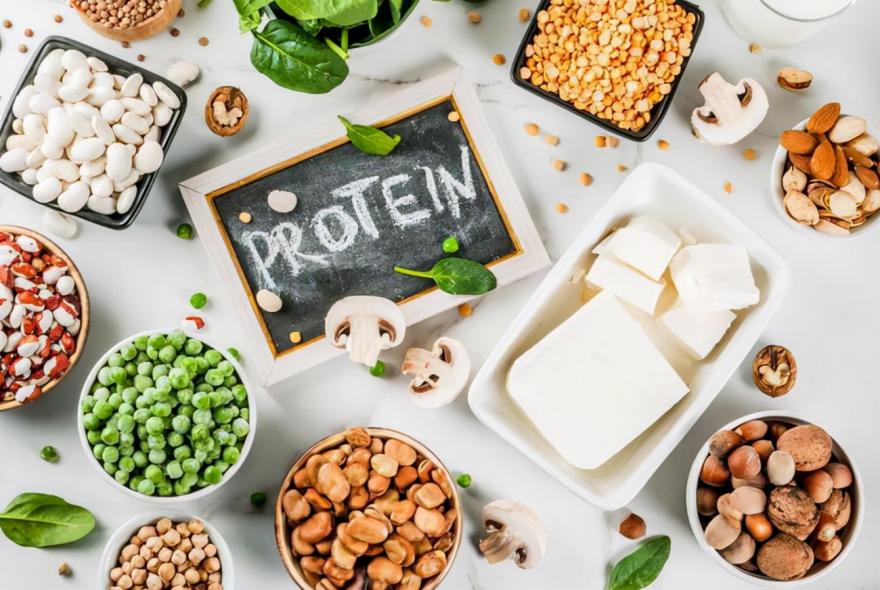 十大蛋白质含量高的食物排行
