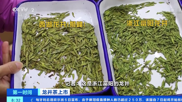 西湖龙井茶价格多少钱一斤