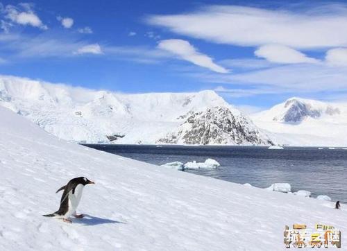 南极发现8亿年前女孩