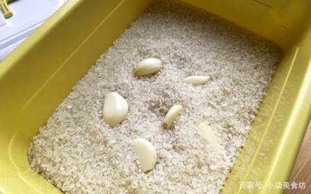 怎样防止大米生虫