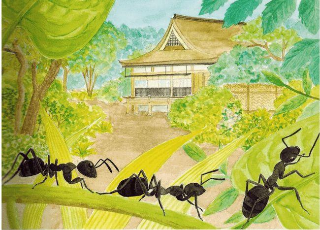 蚂蚁洞是大自然的指南针吗