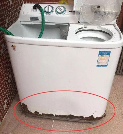 蟑螂爬进洗衣机洗了还能用吗